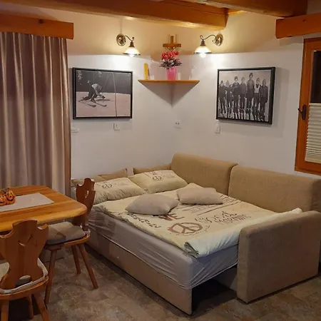 Apartma In Bungalov Jezerci Gozd Martuljek Exterior photo